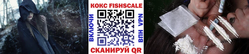 Виды наркотиков купить Жиздра COCAIN  А ПВП  АМФ  Гашиш  Конопля 