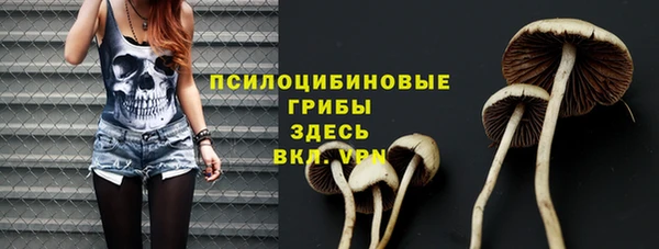 гидра Медвежьегорск