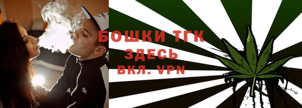 эйфоретик Щучье