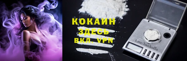гидра Медвежьегорск