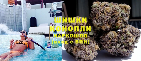 гидра Медвежьегорск